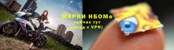 ГАЛЛЮЦИНОГЕННЫЕ ГРИБЫ Елизово