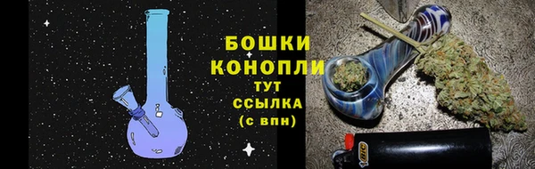 ГАЛЛЮЦИНОГЕННЫЕ ГРИБЫ Елизово
